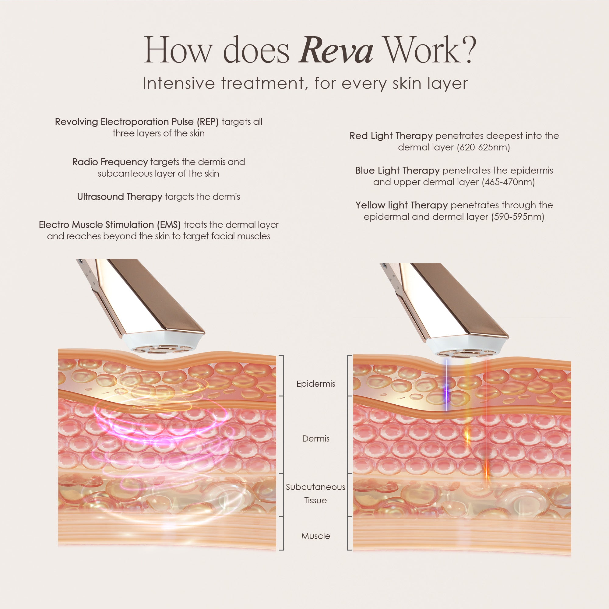 REVA instant age renewal wand showing skin infographic on how each technology rejuvenates the skin